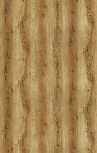 880 SMJ BALTIC ELM II